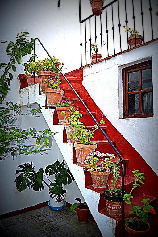 Pension Ronda Sol Exteriér fotografie